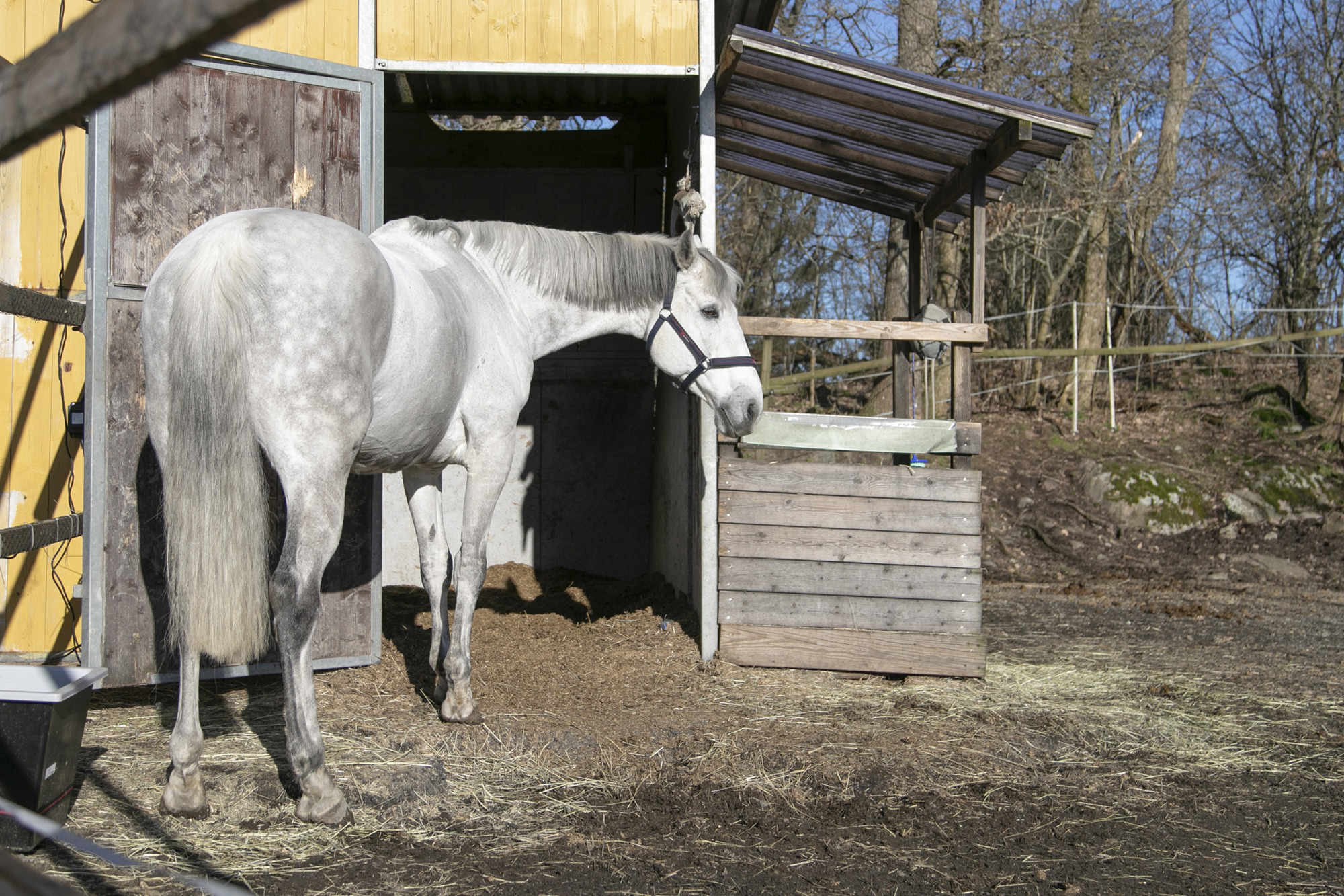 _j8a5721_saraekman_marco_uteboxl&ouml;sdrift_lottakarlsson3000