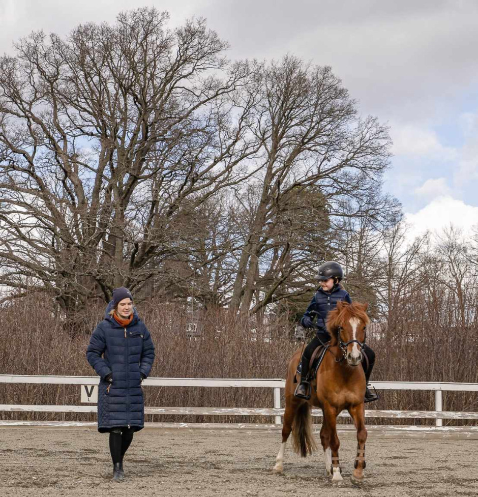 Ridlärarbloggen: Konsten att prissätta sin tid som hästföretagare