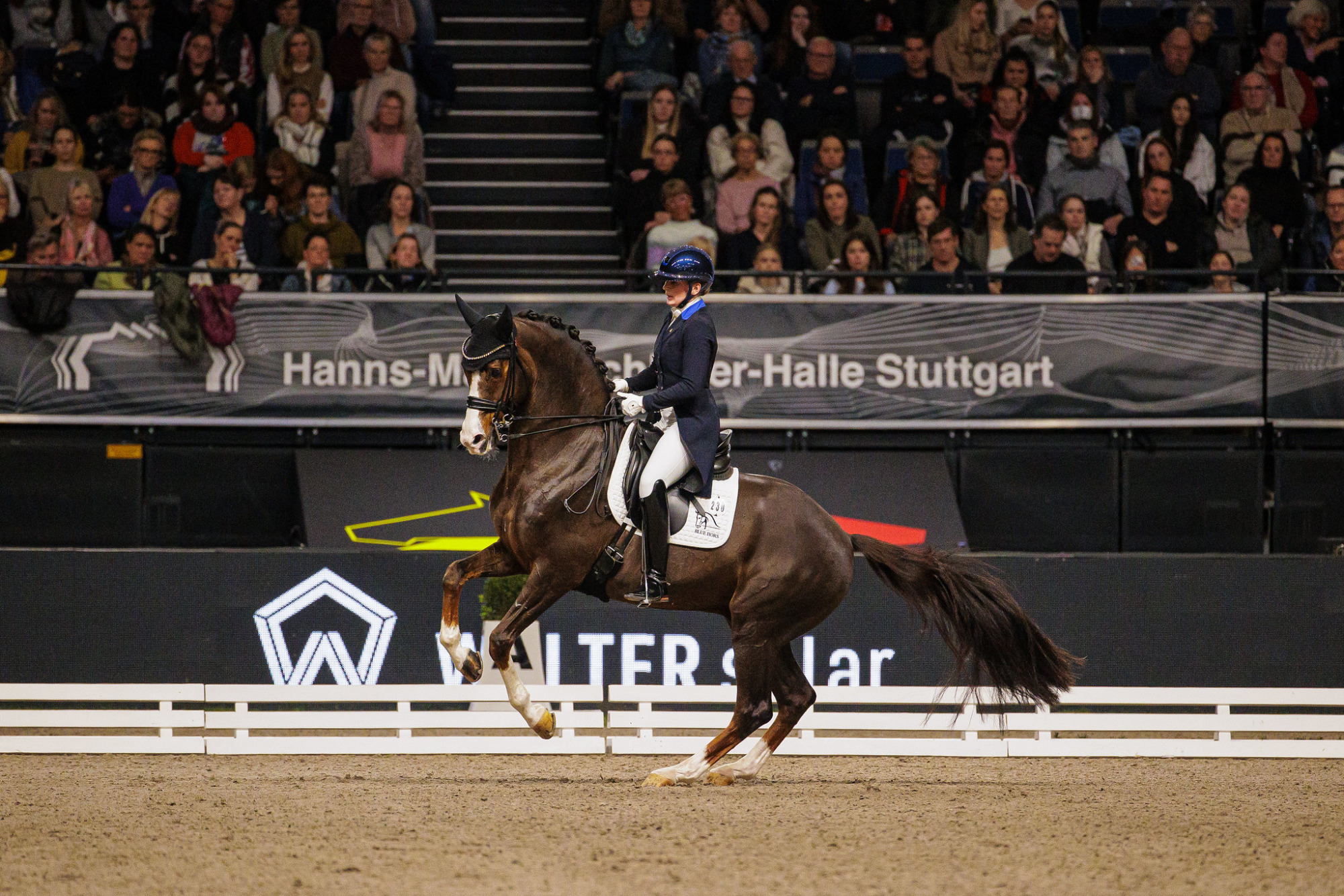Nanna Skodborg Merrald (den) Blue Hors Don Olymbrio_fei_leanjo De Koster