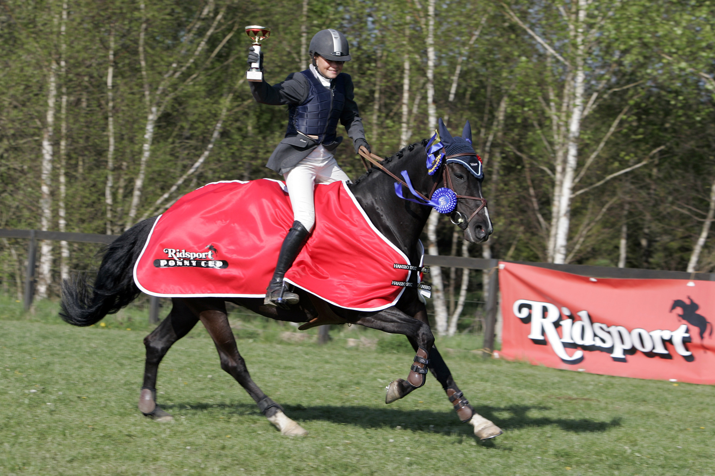 Ridsport