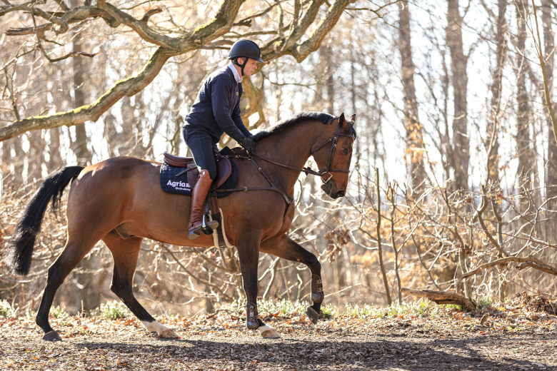 Jens Fredricson: ”Poängsätt dig själv som ryttare”