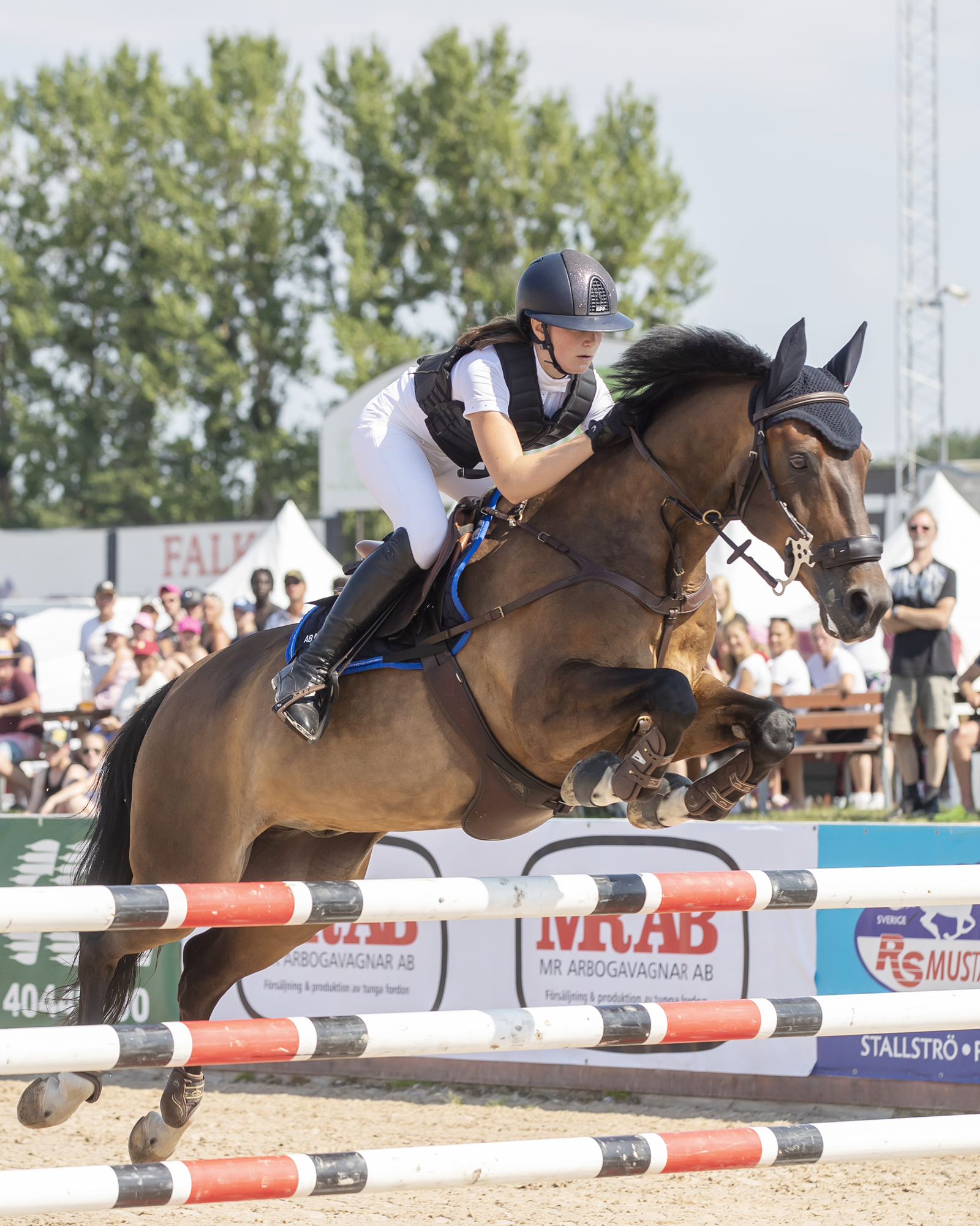 Ridsport
