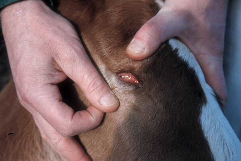 Sofia Mikko: ”Rapporteringen av defekter hänger lite i luften”