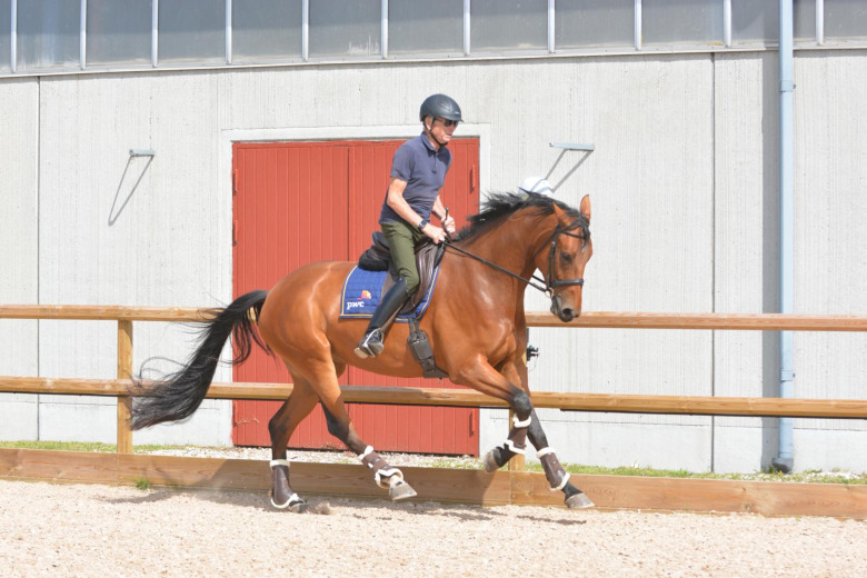 Alf Dorselius, 83: ”Hästen håller mig frisk”