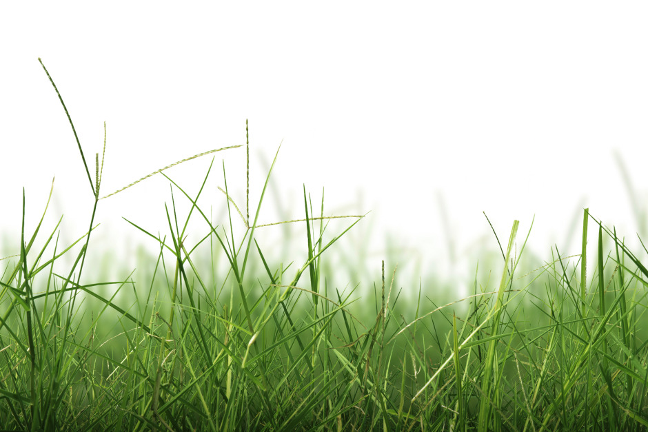 9 sätt att boosta betet