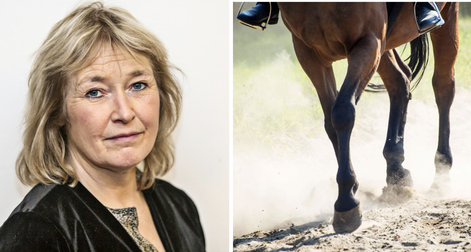 Hat, hot och rättegång – så gick det för landslagsledaren efter hundattacken