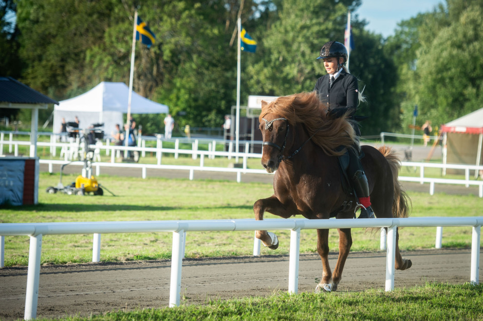 Ridsportpodden: Louise Löfgren om tiden i Bonde söker fru
