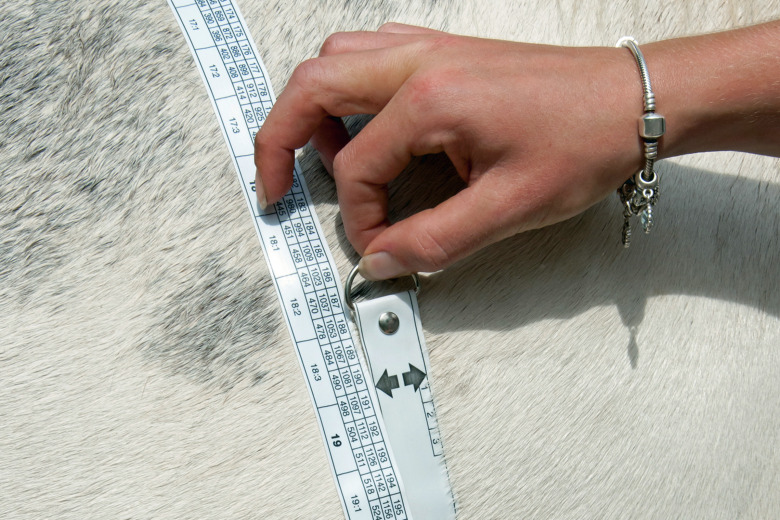 Forskningssvepet: Övervikt ger ökat syrebehov