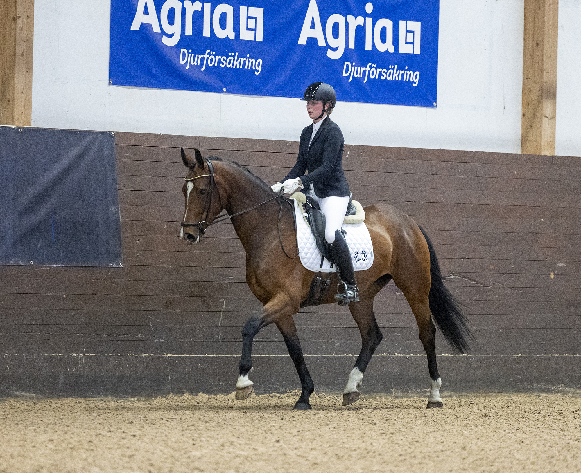 Str&ouml;msholm Li Thuresson Med Rose Milimani. Photo: Roland Thunholm Code: 718 35