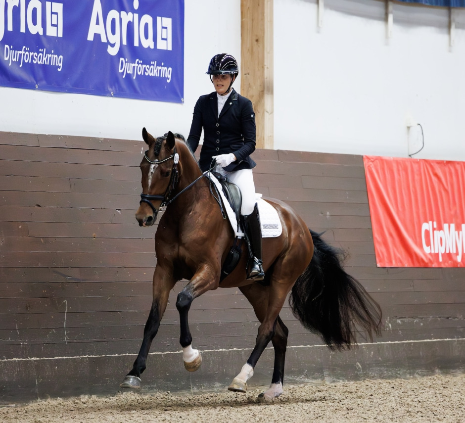 Sandra Dahlin om Roj: ”Har gjort alla rätt hela tiden”