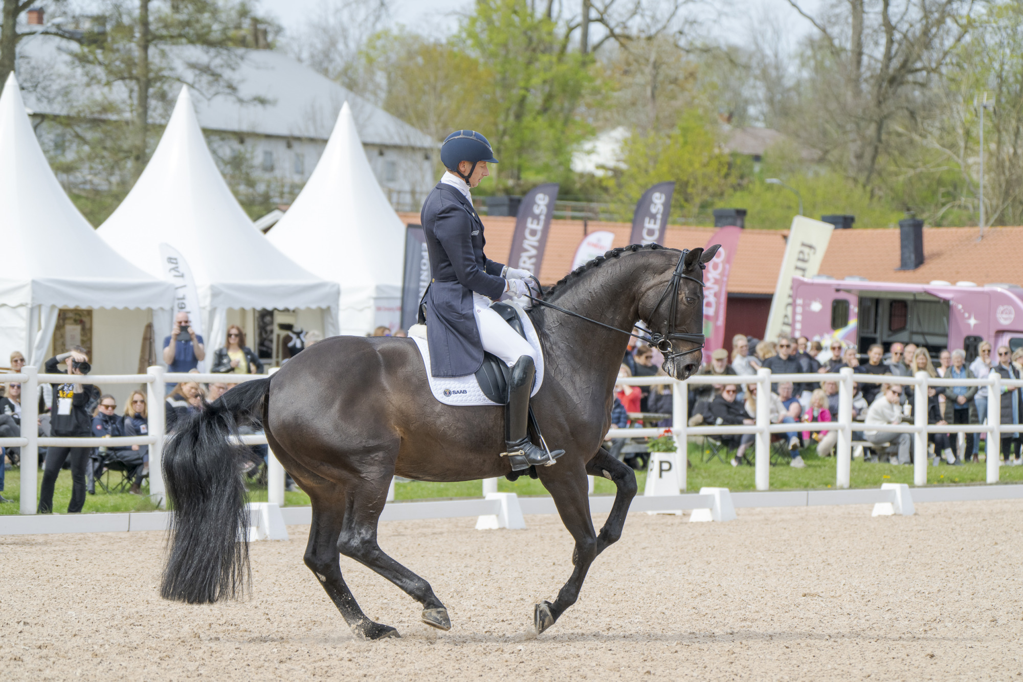 Patrik Kittel Forever Young Hrh