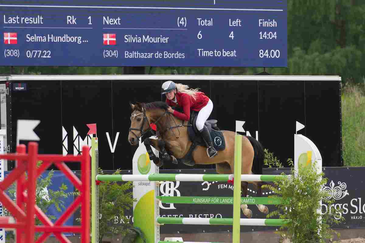 298danska