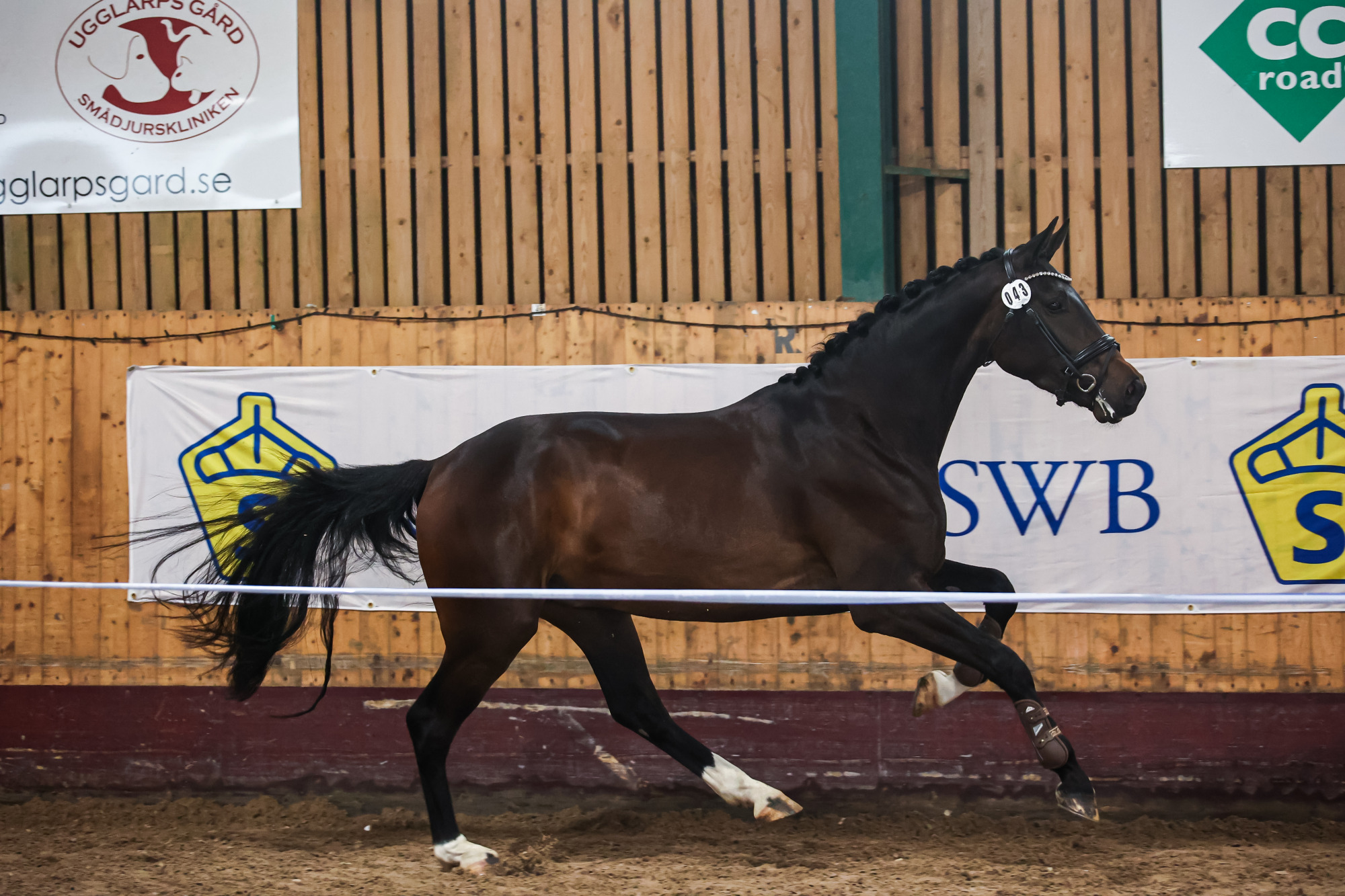 43 Hanna Fallgren Zin Limit Us 6k4a2990_foto_josefine_friberg