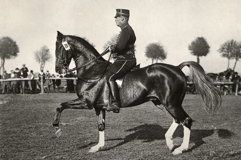 OS-historia: Dressyr utan piaff men med hoppning