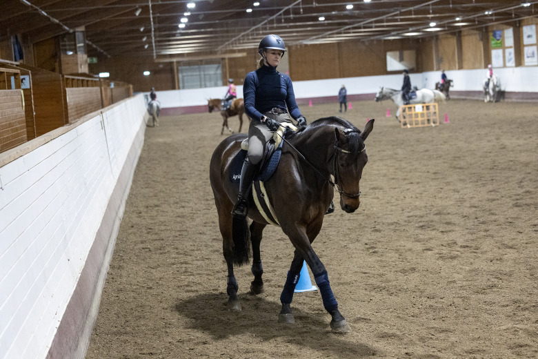 Bättre liv för ridskolans hästar