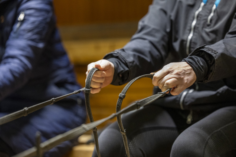 Stort intresse för dansk konferens om hästvälfärd
