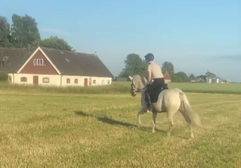 Rekordsnabb återhämtning för Elliot Zaki – tillbaka i sadeln