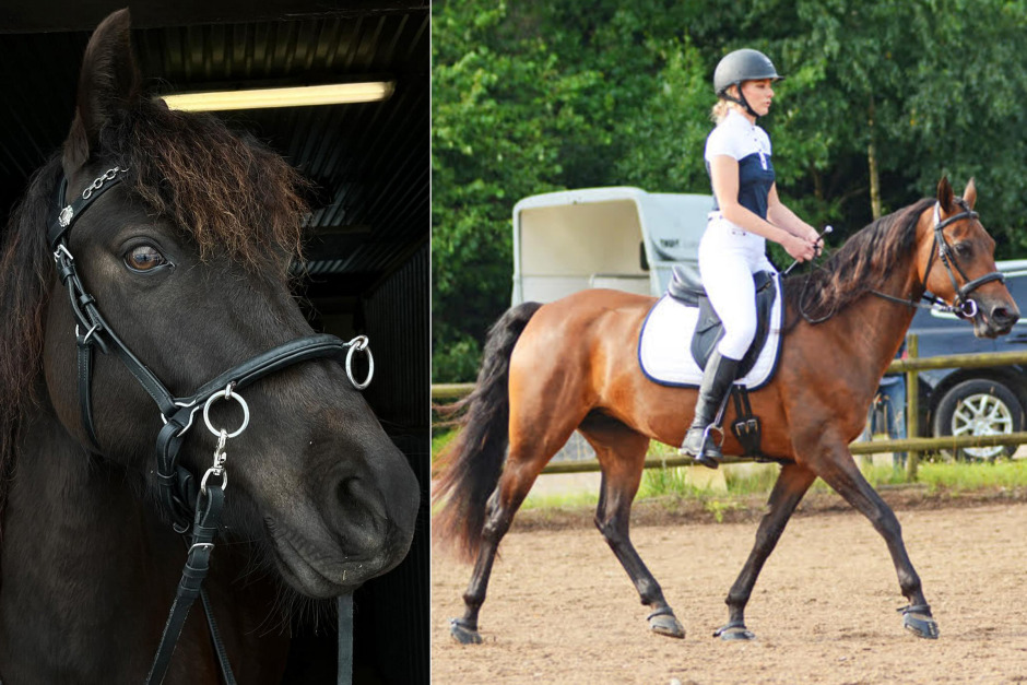 Tillåter bettlöst och barfotaboots på tävling: ”Behöver inte vara rädd för förändring”