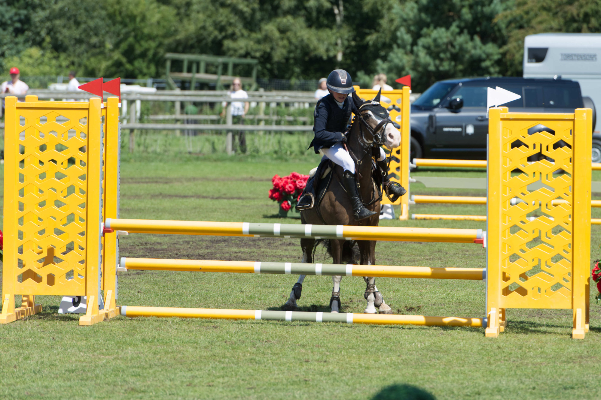 301 Lilly Rosie