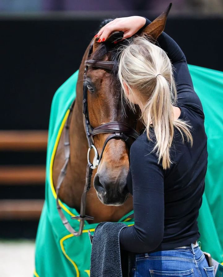 8de9e62d-01cc-4123-84f1-b7d5d3b960fb