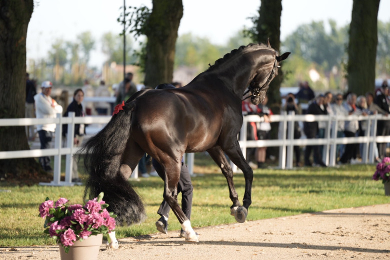 Therese Nilshagen om sin besiktningsrädsla: ”Sätter sina spår”