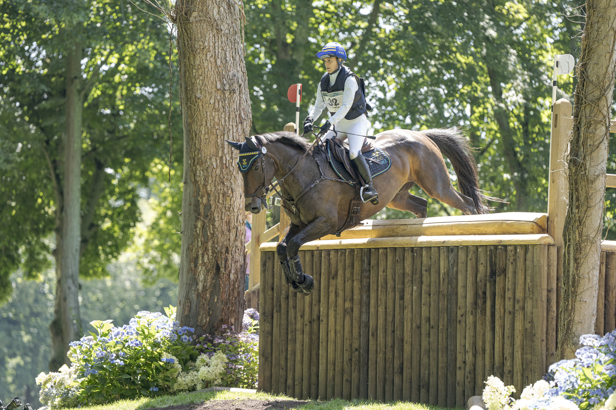 Frida   Andersen (swe) Box Leo