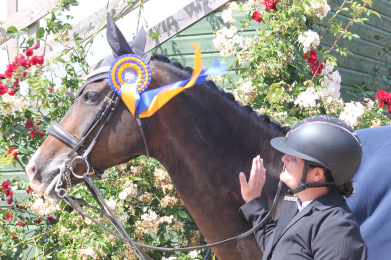 Från YRSM-medalj i fälttävlan till dressyrseger i Falsterbo