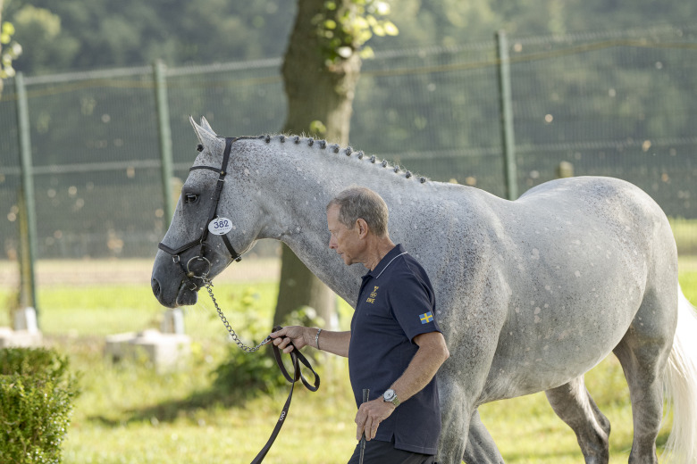 Rutinerade Rolf-Göran hoppas på den främsta titeln