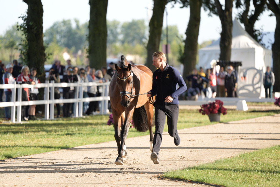 Så gick det vid hästbesiktningen på EM
