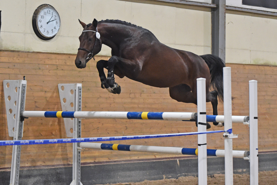Hopp i topp i Halland, ”A Magic Twist” bäst