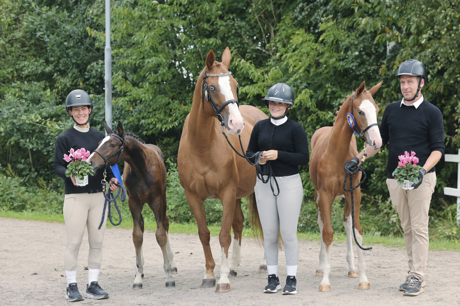Supermorsan Brizka tog hand om två föl