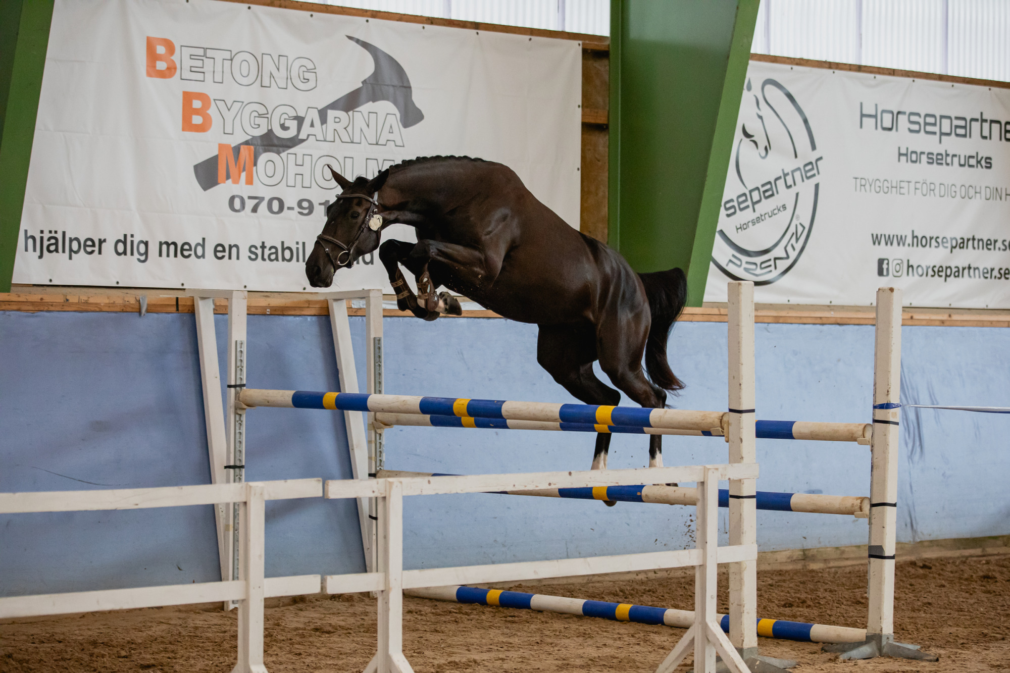 Cleona L_foto_ida_ahlsten