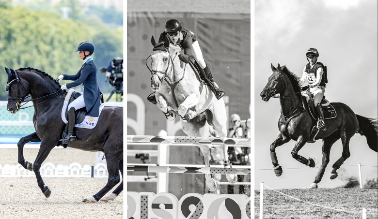 Omtag för ridsporten: Dressyr