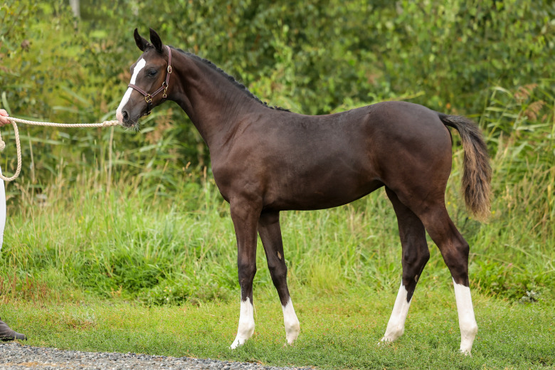 Dubbel för ”Oa” i Östergötland