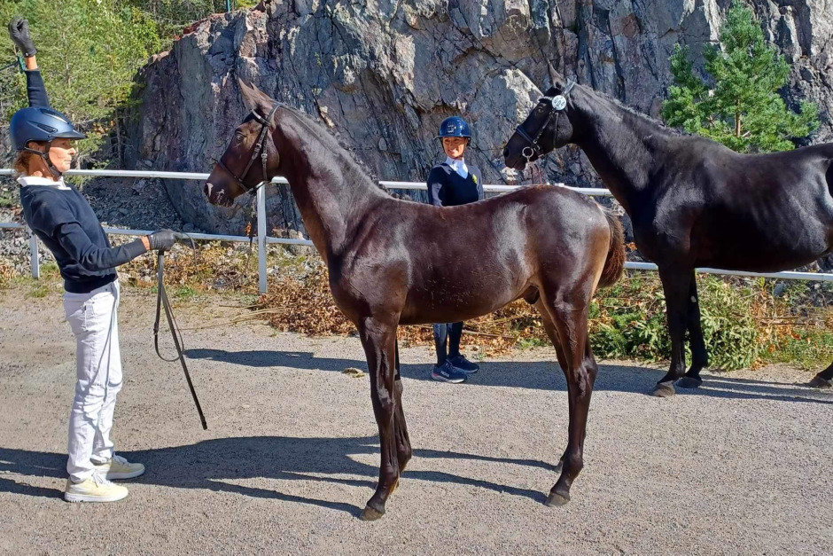 Bon Coeur-son högst bedömd i Gävleborg