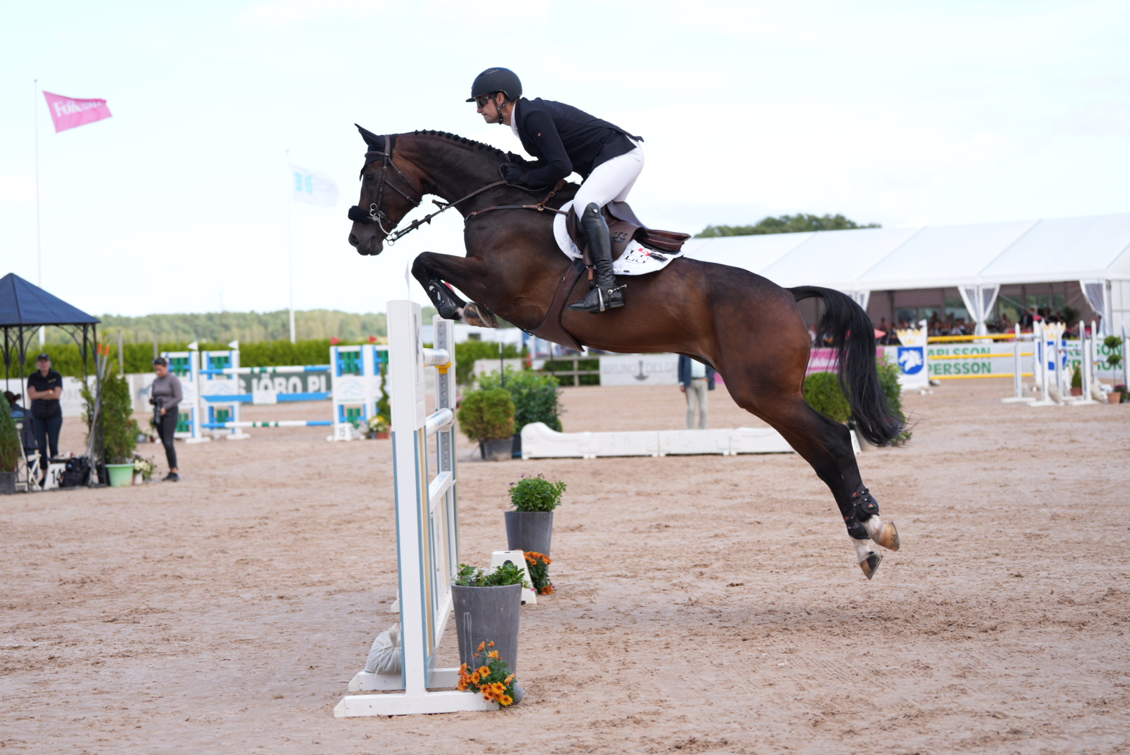 Guld Senior Carl-walter Fox -1 (1)