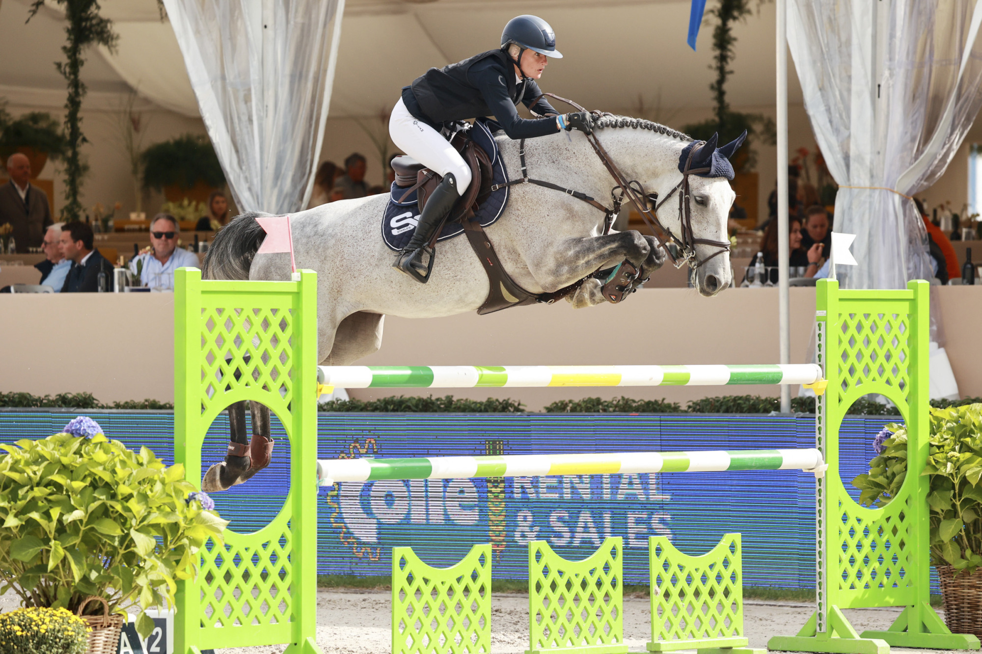 Ungh&auml;st-vm I Hoppning 2021