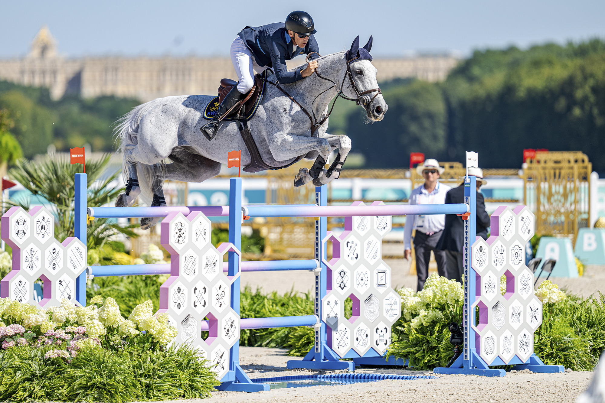 Peder_fredricson_(swe)_catch_me_not_s_ju_if1_kcl04184