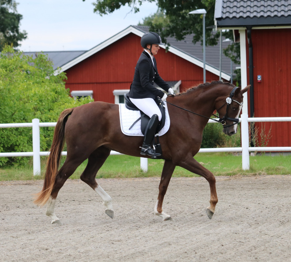 Spicious glänste i testad kvartett
