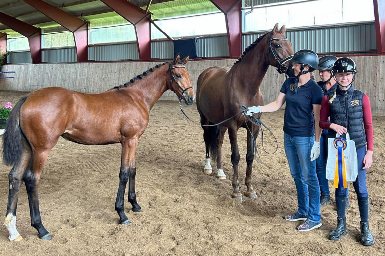 Be Sure-dotter högst bedömd i Jönköping