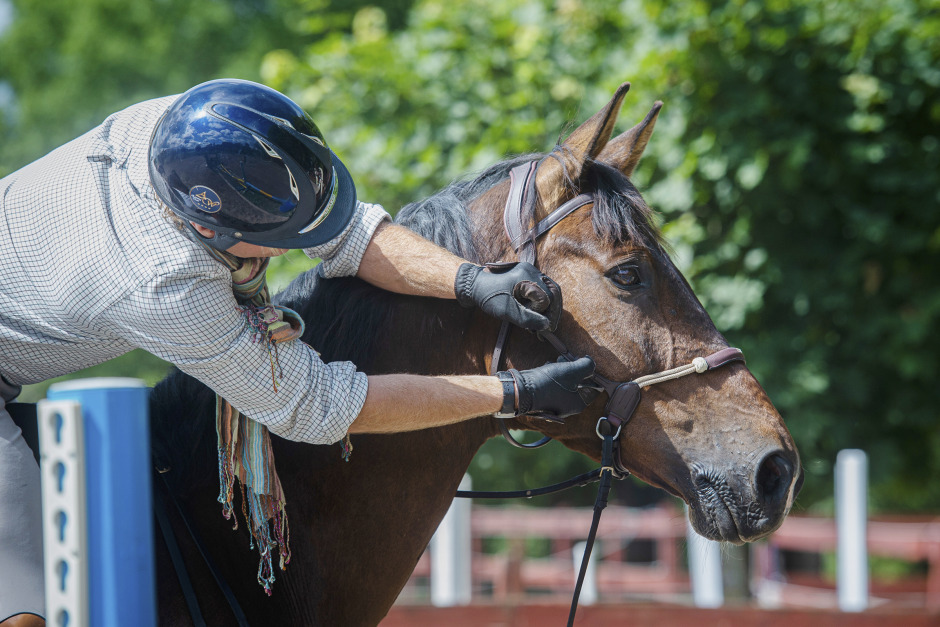 Rider du Medelsvår A eller högre? Nu kan du bidra till ny forskning om hästvälfärd