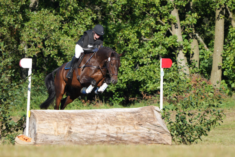 Bildfest: Häng med till 4-åringarnas Breedersfinal