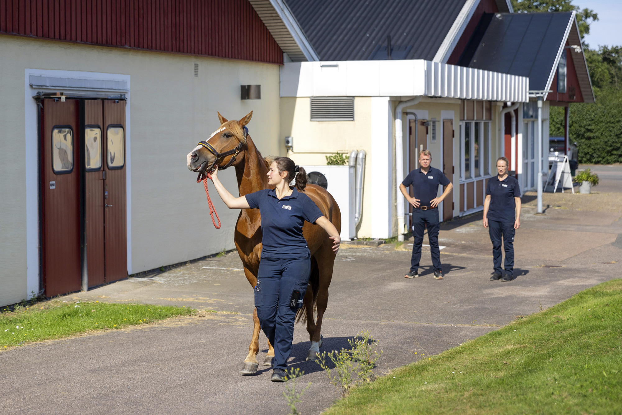 Ridsport_evidensia_hbg_15aug2024_nr151