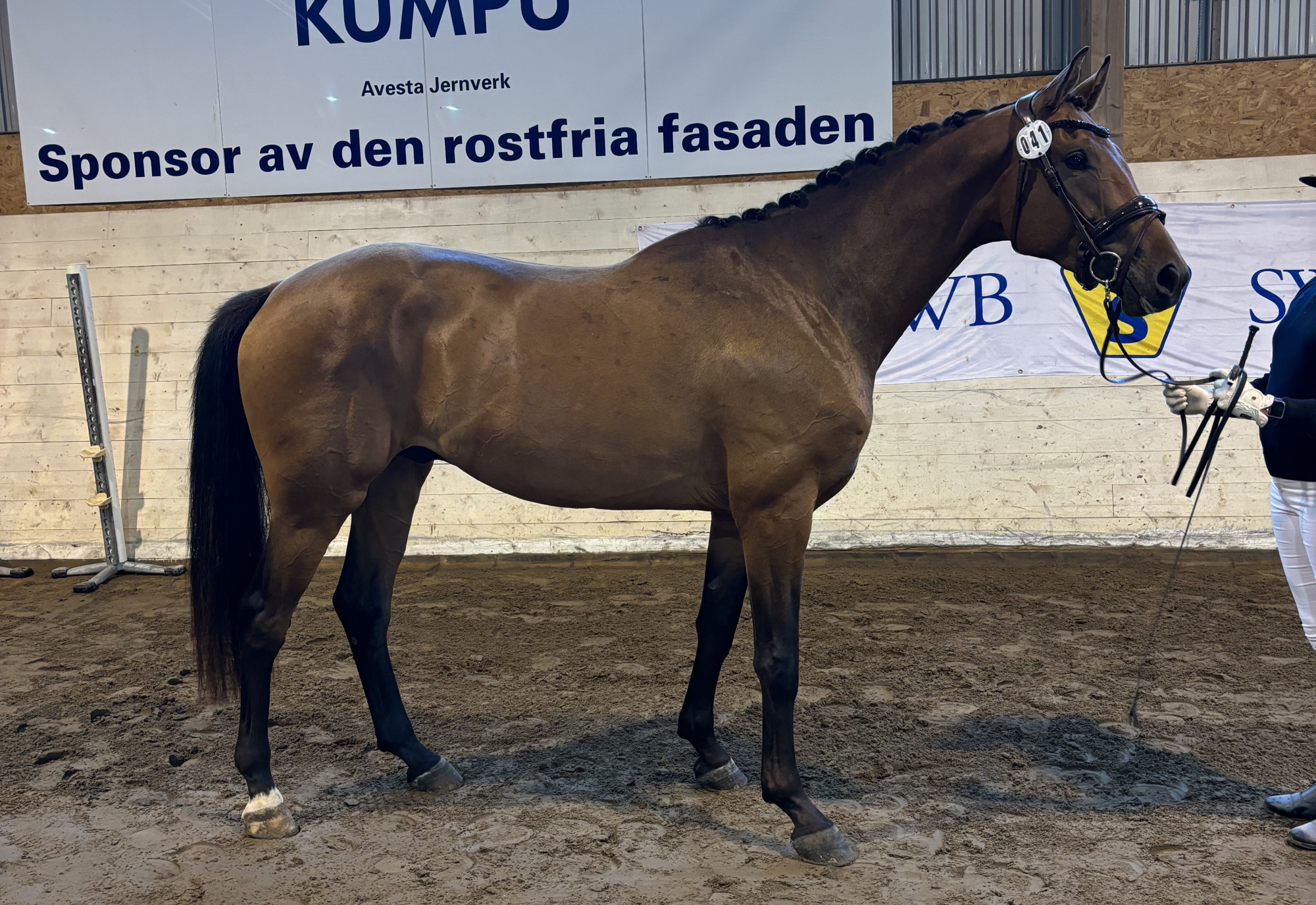 Zeke_foto_agnes_mårs