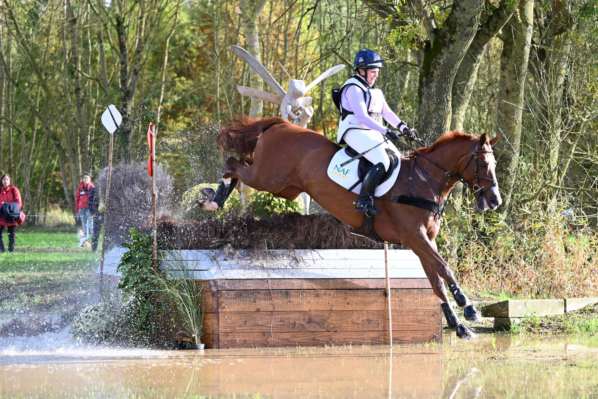 54079936056_59beaf58e2_k