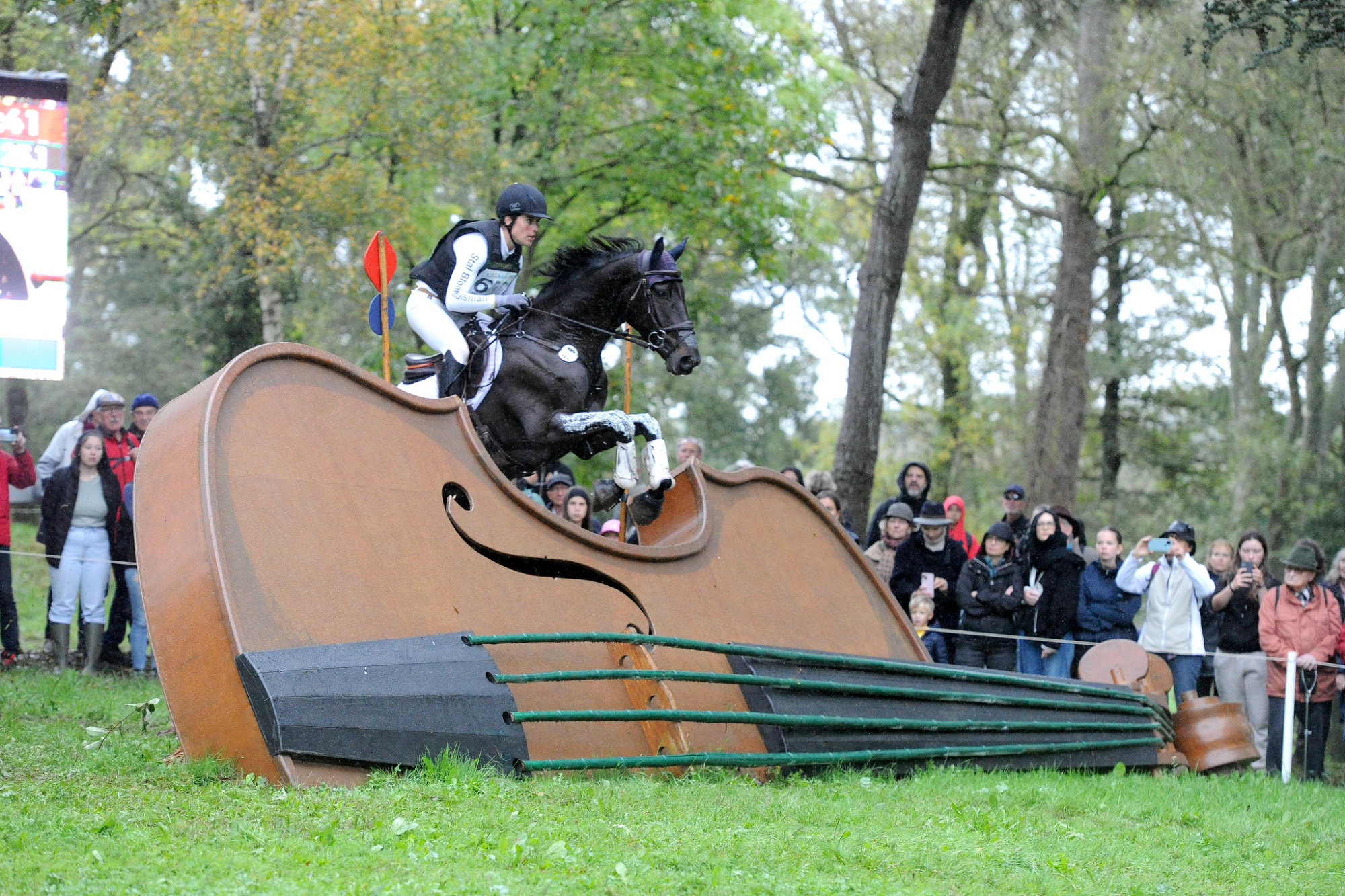 54080094923_0555d3ff3f_k