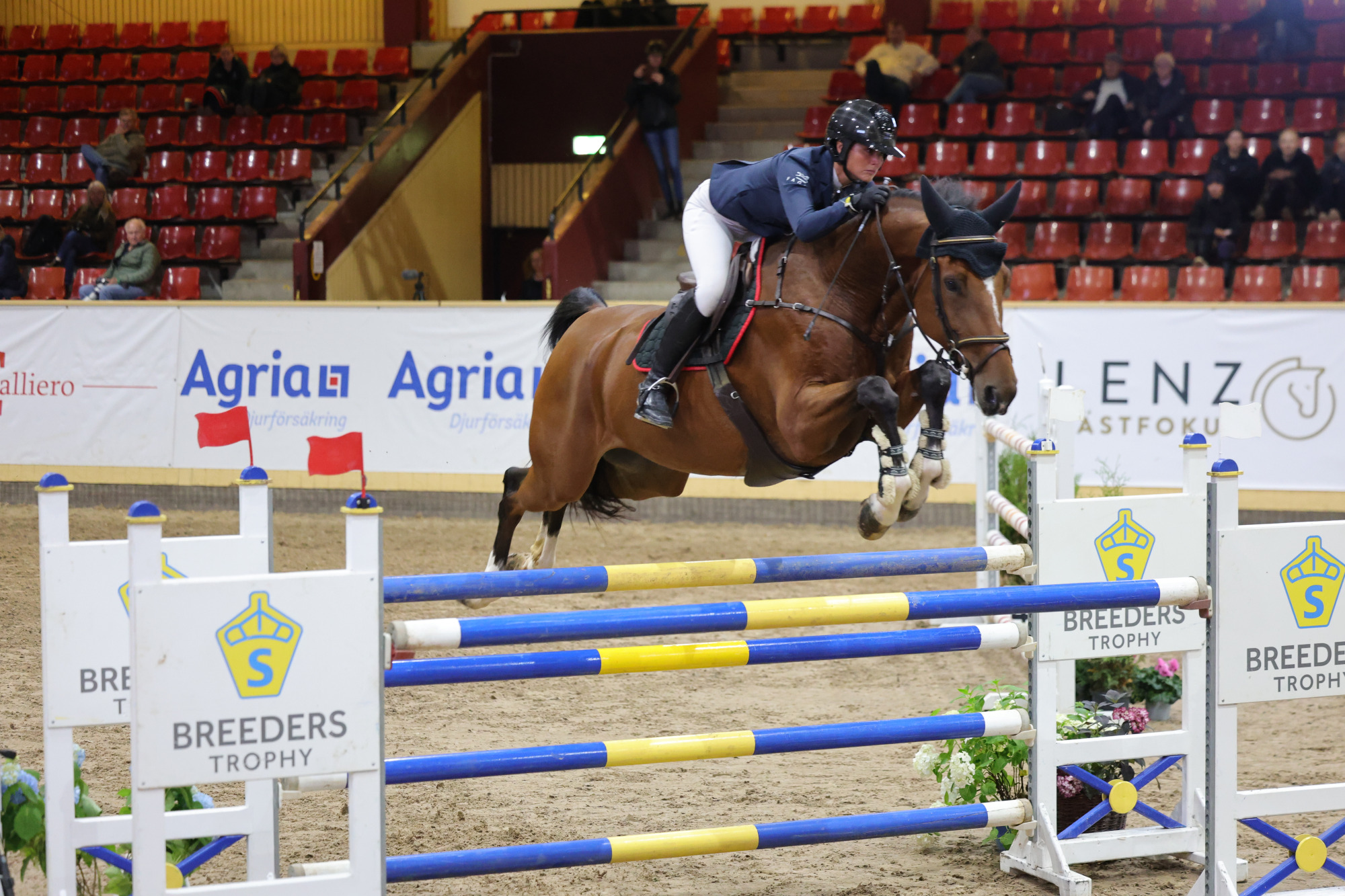 7 Årf Norton Ml Nicole Holmen Peha1896