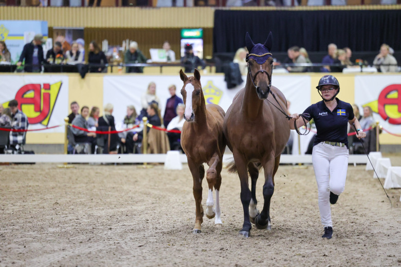 Aukt_effortless Of East-4986