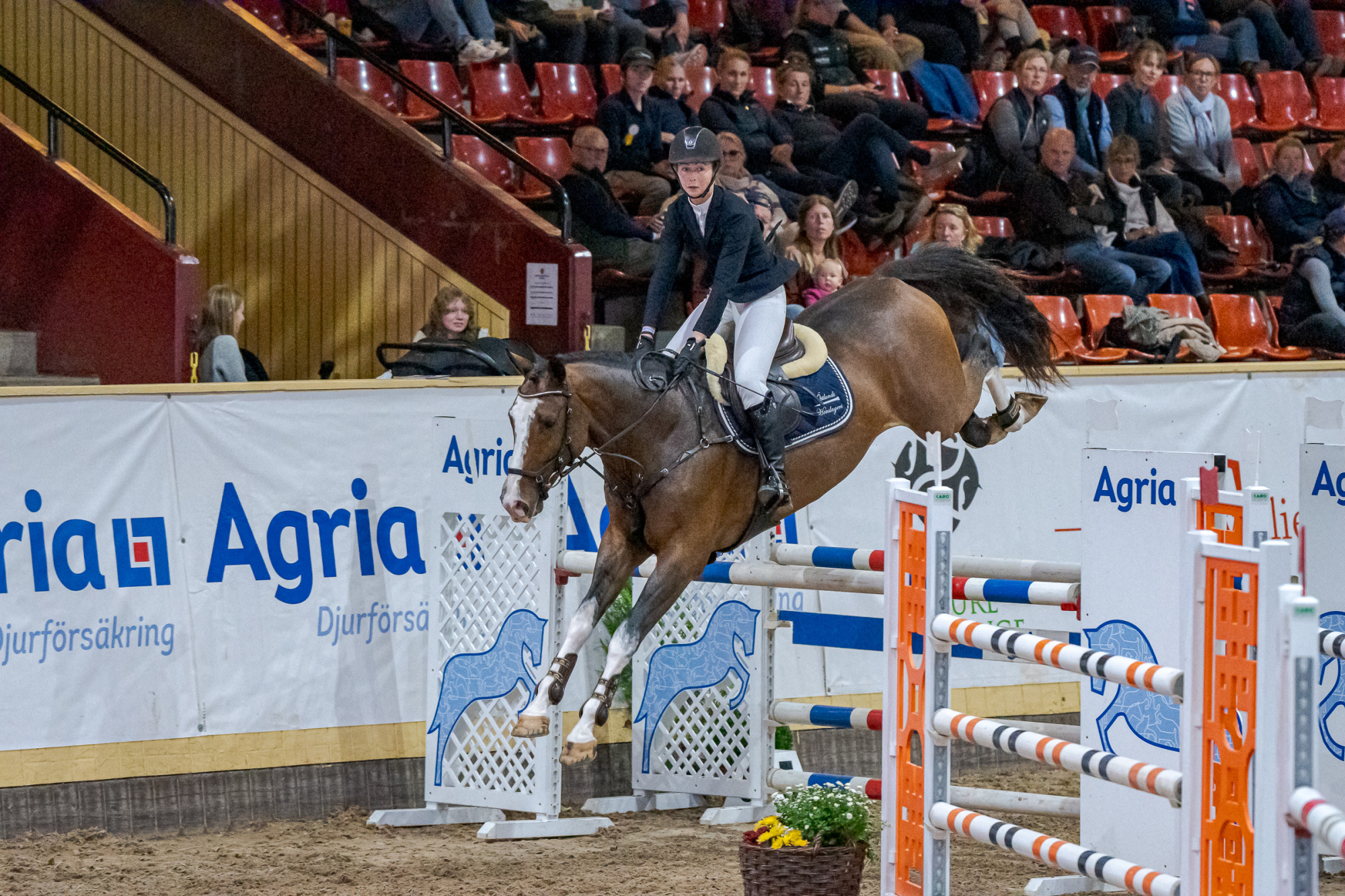 Louise Croon Naestro Sc 1484