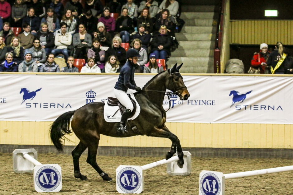VM-ryttare testade WE – seger i första starten